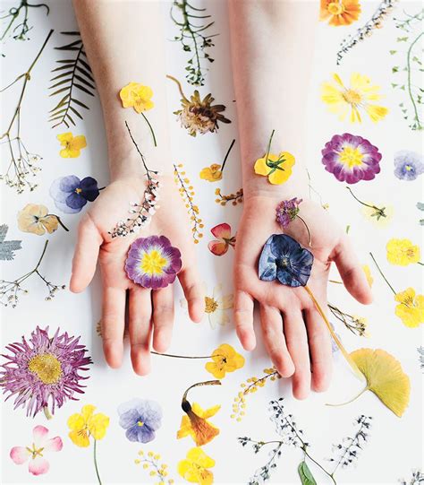 Get your supplies ready and put on your personal protective equipment if you're using it. How to press flowers in 3 methods - The House That Lars ...