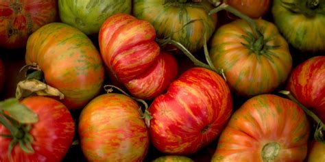 Expert Advice And The Best Heirloom Tomato Varieties Foodprint