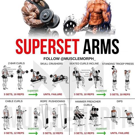 Want BIGGER Arms Try This Workout LIKE SAVE IT If You Found This Useful FOLLOW Musclemorph