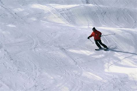 Downhill Skiing Around Toronto