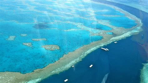 Wwf Pushes Great Barrier Reef Protection