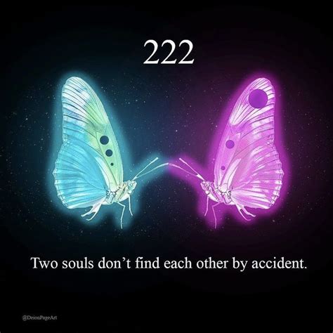 Two Colorful Butterflies Facing Each Other With The Caption 22 22 Two
