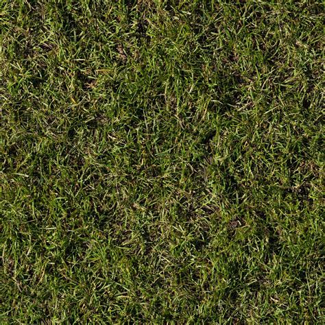 High Resolution Textures Grass Textures Grass Texture Seamless