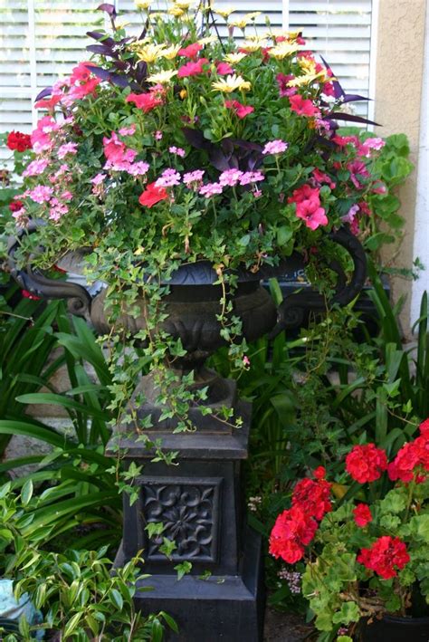17 Best Images About Container Garden On Pinterest