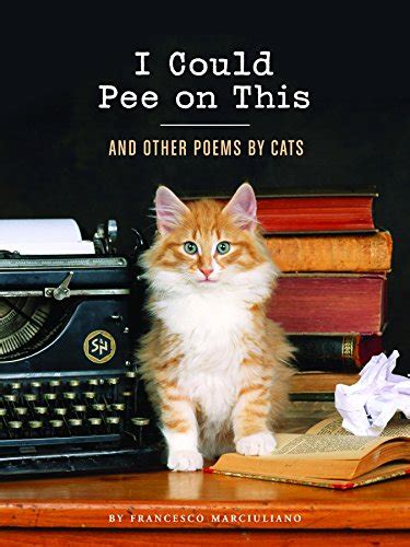 Cat Books Cat Books
