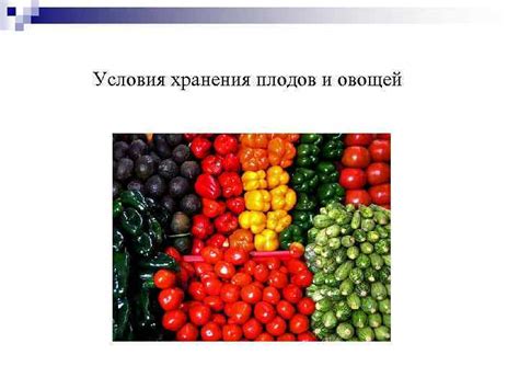 Болезни овощей и фруктов Микробиология свежих плодов