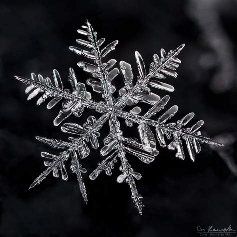 Found On Bing From Photography On Snowflake Images Macro