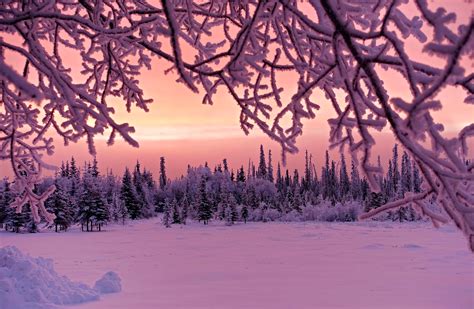 Winter Sunset 5k Retina Ultra Hd Wallpaper Background Image