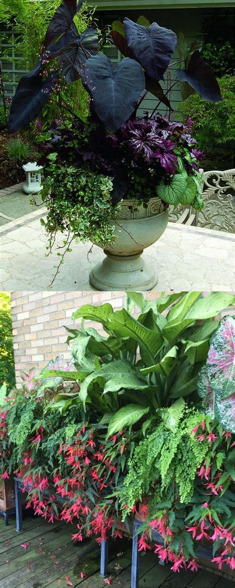 Potted plants don't have to take up floor space. 16 Colorful Shade Garden Pots & Plant Lists | Shade garden ...