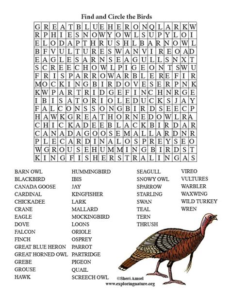 Bird Word Search Adult