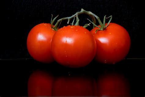 Still Life Tomatoes