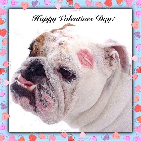 Sending Kisses And Happy Valentines Wishes To All My Bulldog Loving