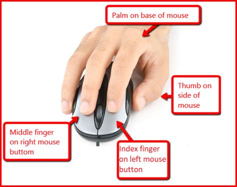 Chapter 5 Holding And Moving The Mouse And Functions Of A Mouse Notes