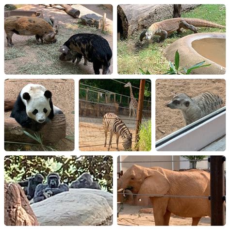 Zoo Atlanta Admission 