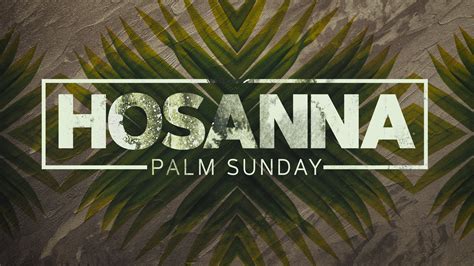 Hosanna Palm Sunday Graphic Pack