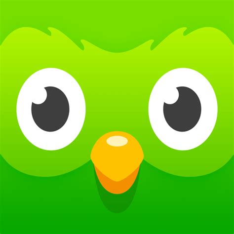 Duolingo Ios Icon Gallery
