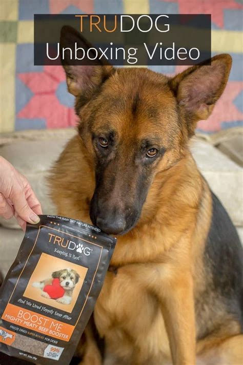 A Review Of Trudog Dog Food Products And An Unboxing Video Starring Gus