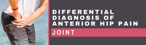 Differential Diagnosis Of Anterior Hip Pain Joint Dr Alison Grimaldi