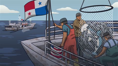 Panamá Una Bandera De Conveniencia Para La Pesca Ilegal Y El