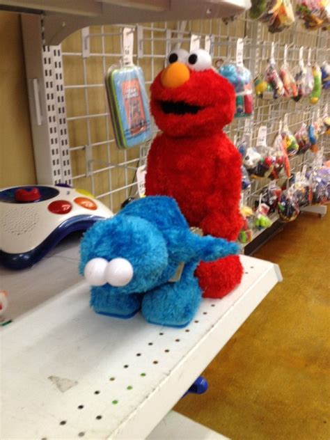 Funny Pictures Elmo Mew Comedy