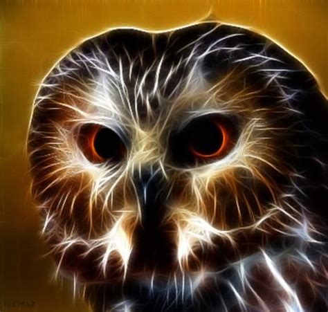 Owl Owl Pictures Owl Pics Backyard Hammock Owl Patterns Rainbow Art