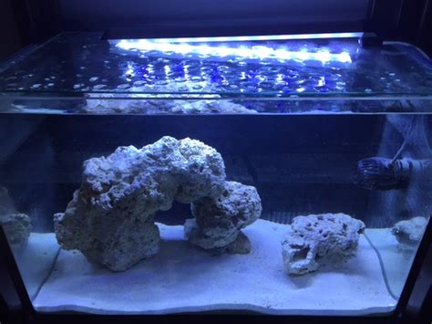 Fsfish Tank Aqua Japan Aj 60 24 Gallon All In One Reef Aquarium