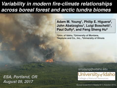 Pdf Variability In Modern Fire Climate Relationships Across Boreal