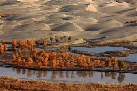 Tarim River Discover China Tours