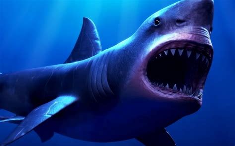 The Black Demon Gigantic Shark Of Mexico Mexico Unexplained