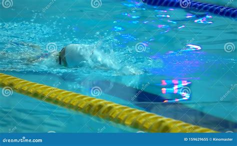 Professional Swimmer Practicing In Water Swimming Pool Stock Video