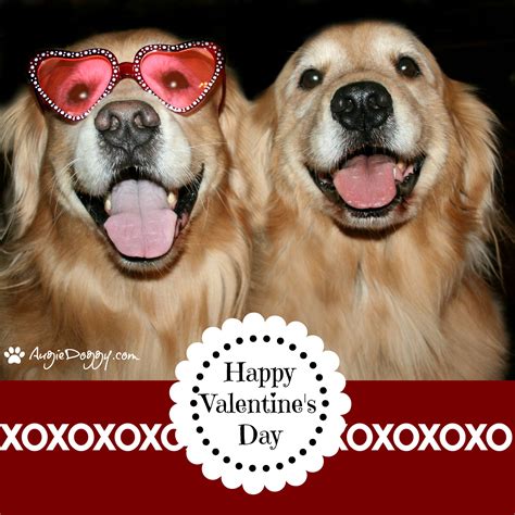 From The Treat Jar Blog Happy Valentines Day Pictures