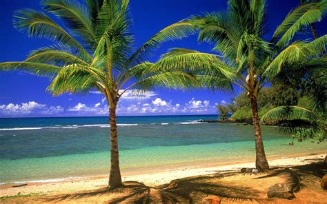 Island Beach Desktop Wallpapers Top Free Island Beach Desktop