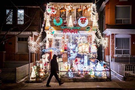 The Best Pet Stores In Toronto Christmas Light Displays Christmas