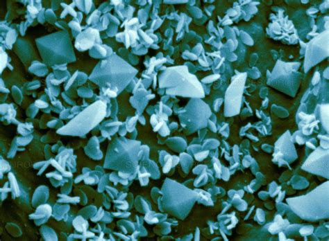 Your kidneys play an essential role in your body, cleaning waste products and toxins out of your blood to keep it (and you) healthy. OXALATES & CHRONIC DISEASE: HOW THE HEALTHY FOODS YOU LOVE