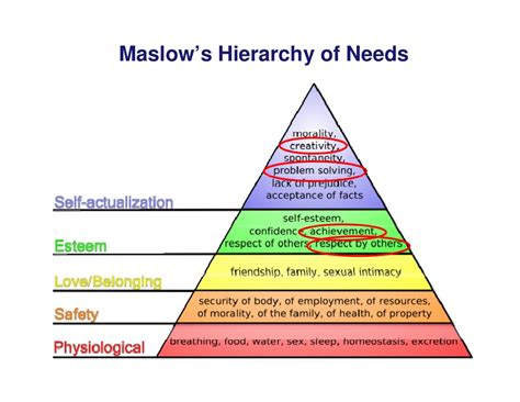 However, the most recent depictions of the these security needs are important for survival, but they are not as important as the basic physiological needs. Maslow's Hierarchy of Needs