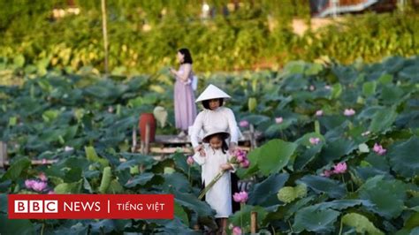 Rồng Việt Nam đang Bị ‘tham Nhũng đè Cổ Bbc News Tiếng Việt