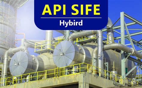 Api Sife Source Inspector Fixed Equipment Hybrid Training Course