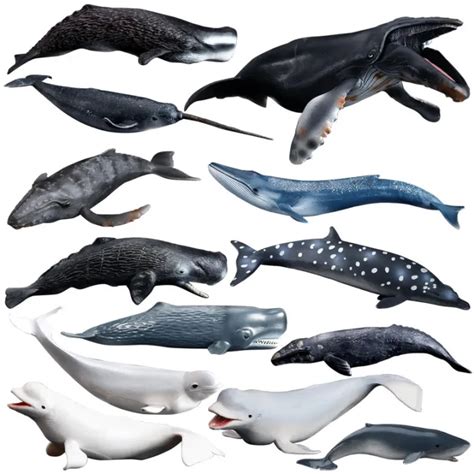 Simulation Marine Animal Model Solid Plastic Sperm Whale Killer Whale