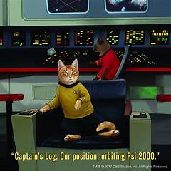 The Purr Fect Anti Heroes Cats That Will Make You Want To Chuck Your Phone