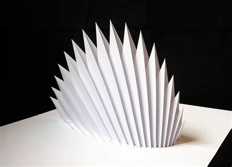 Paper Pop Paper Sculpture Paper Artwork