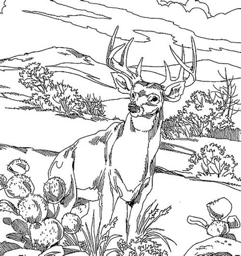 They are able to play games in the nursery like numbers match games and alphabet puzzles and hunting coloring pages. Deer Hunting Drawing at GetDrawings | Free download