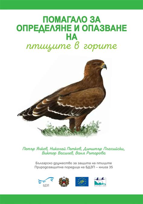 Pdf Guide For Identification And Conservation Of Forest Birds