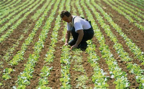 4 façons de contribuer à un secteur agricole durable  Réparation de