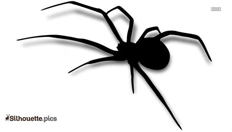 Black Widow Spider Silhouette Silhouettepics