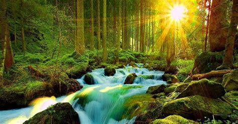 Scenery Nature 3d Wallpaper For Mobile Best Nature Hd Wallpapers For