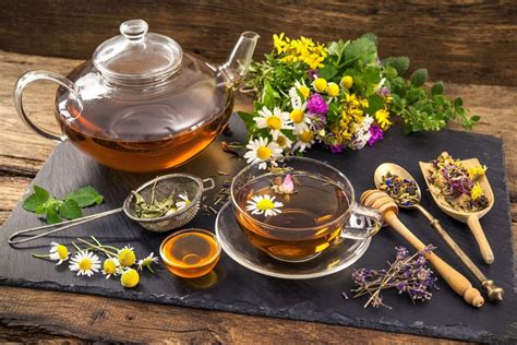 Herbs Nutrition And Holistic Healing For Multiple Chemical Sensitivity