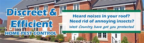 Pest Control Sherborne West Country Pest Control Yeovil