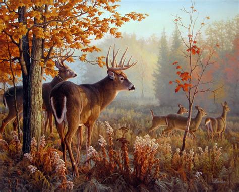 Whitetail Deer Painting By Greg Alexander Deer Wallpaper Deer Art