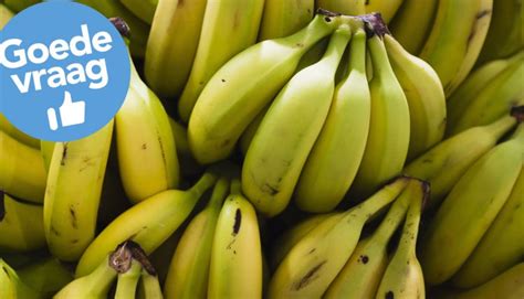 wat is gezonder een jonge of rijpere banaan gezondheidsnet