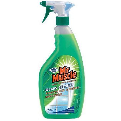 For use on windows, mirrors and other glass surfaces. Mr Muscle Window & Glass Cleaner 500ml - MEDI-MOVE ...